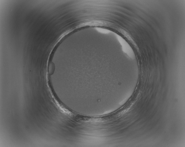 X0000068840845200606021707