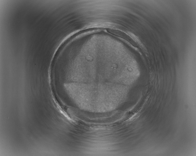 X0000068840846200606021707