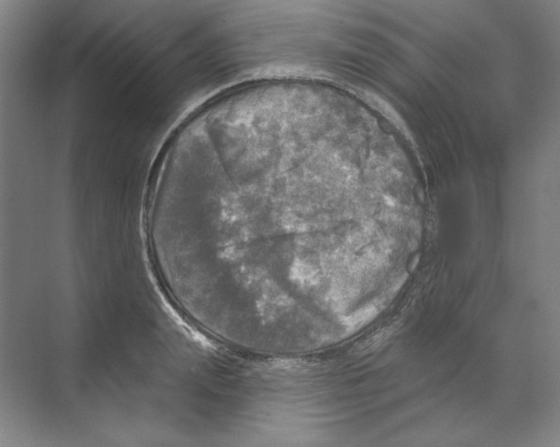 X0000068840847200606021707