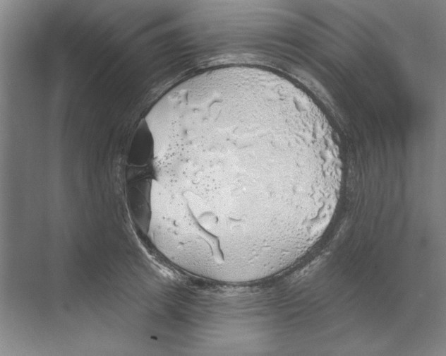 X0000068840849200606021707