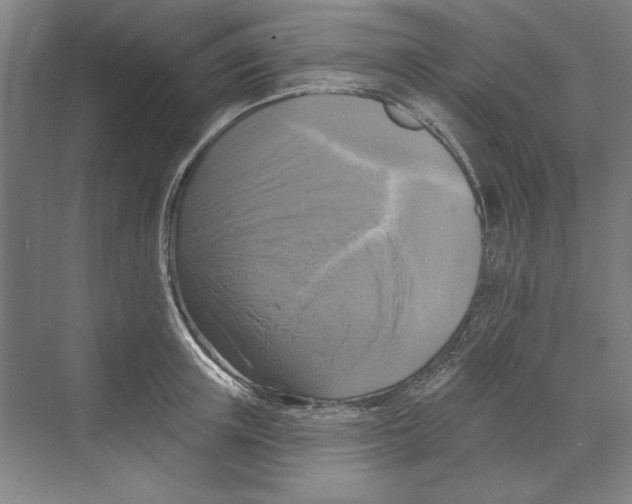 X0000068840851200606021707