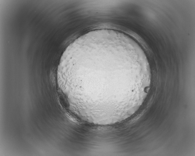 X0000068840857200606021707