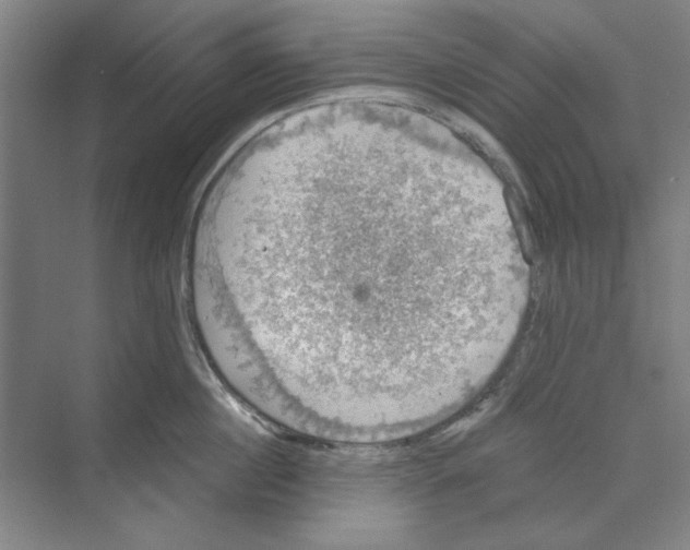 X0000068840860200606021707