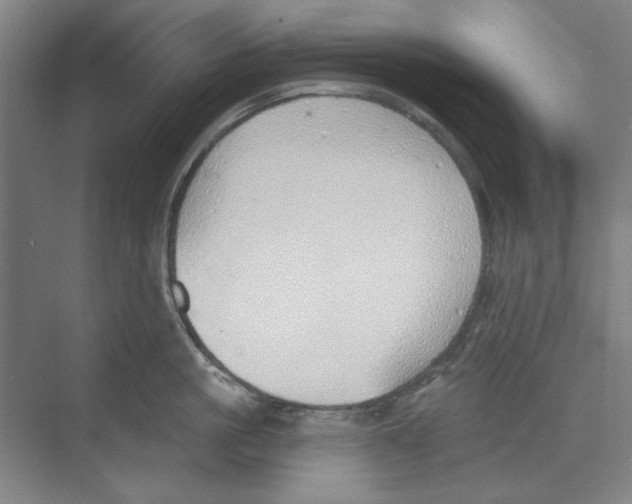 X0000068840861200606021707