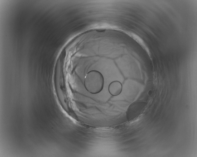 X0000068840863200606021707