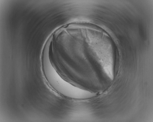 X0000068840864200606021707