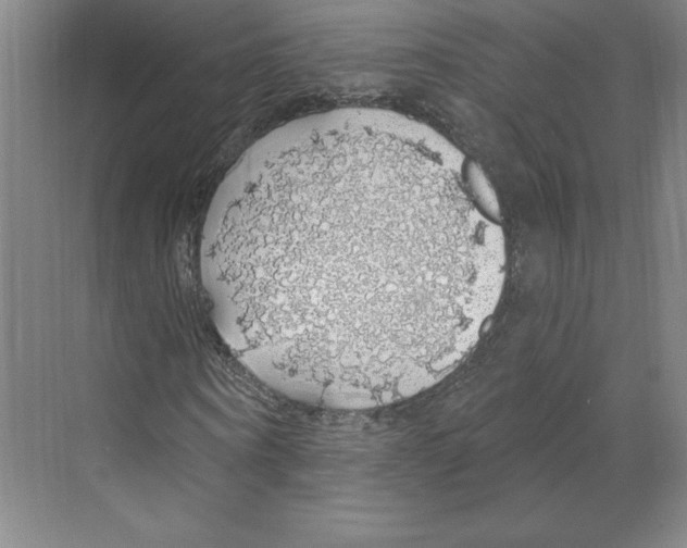 X0000068840866200606021706