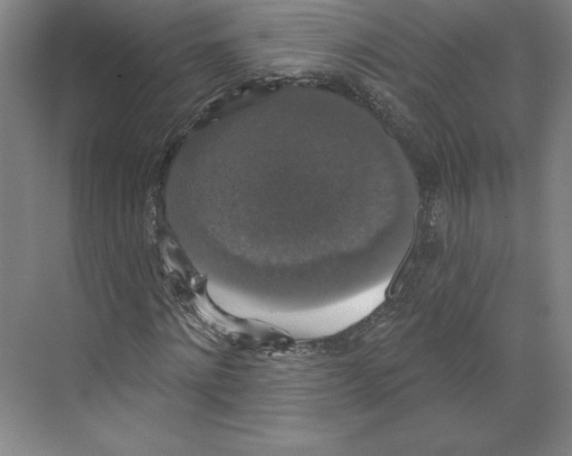 X0000068840868200606021706