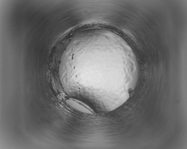 X0000068840872200606021706