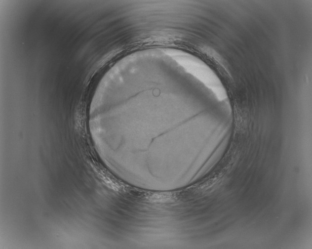 X0000068840874200606021706