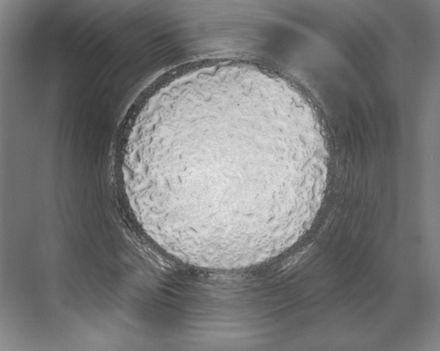 X0000068840875200606021706