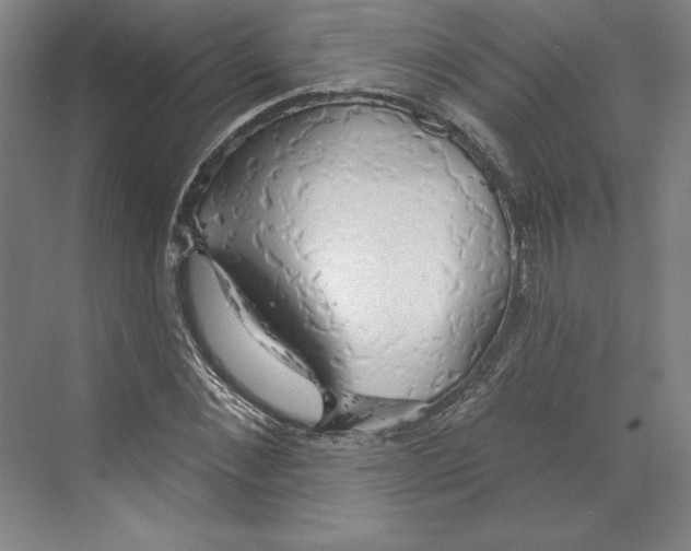 X0000068840876200606021706