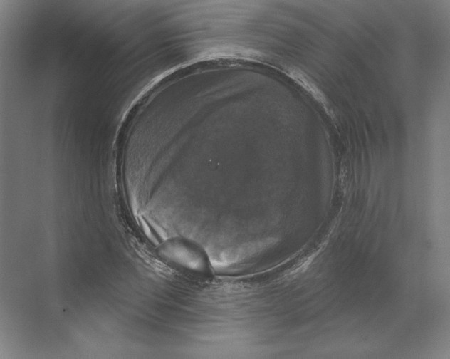 X0000068840877200606021706