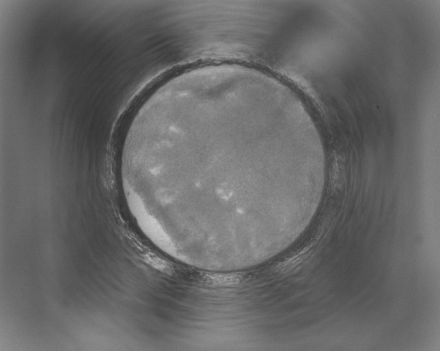 X0000068840878200606021706