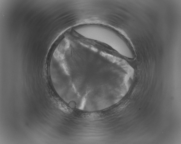 X0000068840879200606021706