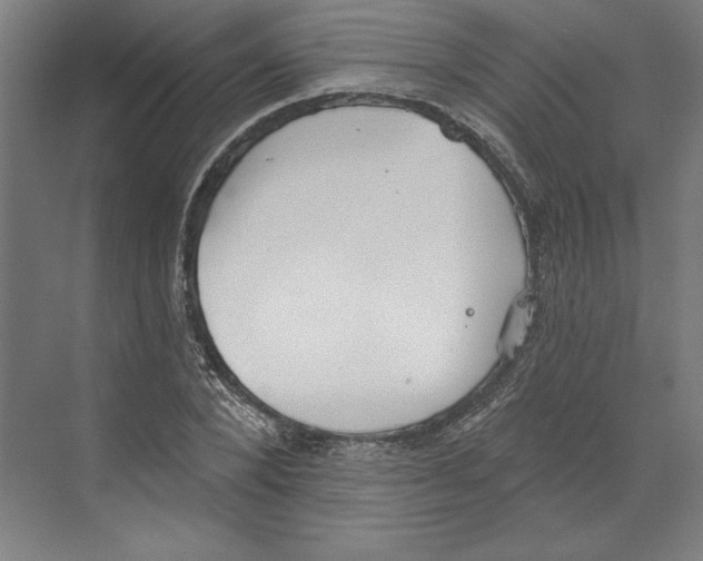 X0000068840880200606021706