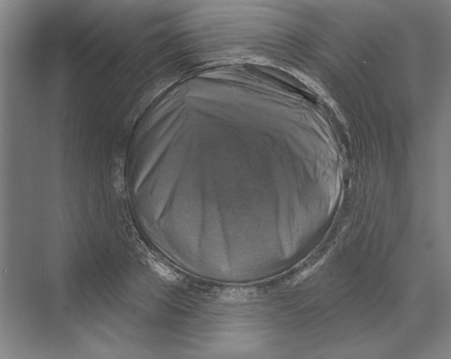 X0000068840889200606021706