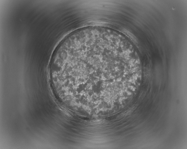 X0000068840891200606021706