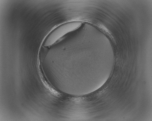 X0000068840892200606021706