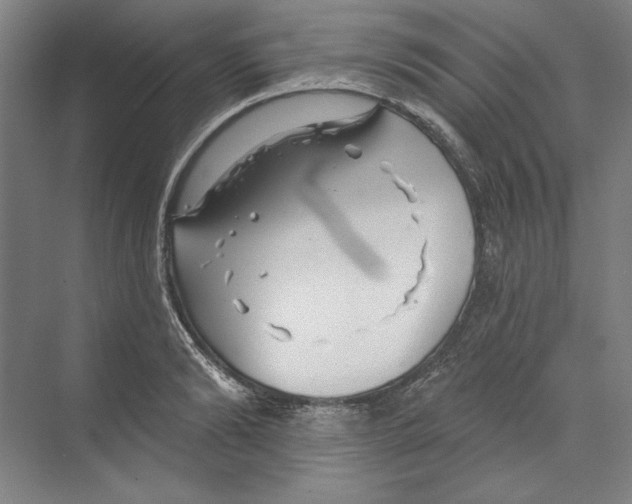 X0000068840894200606021706