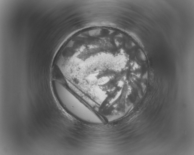 X0000068840895200606021706