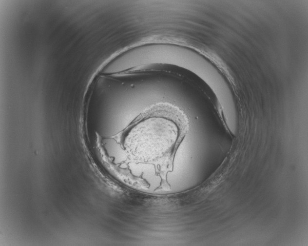 X0000068840896200606021706