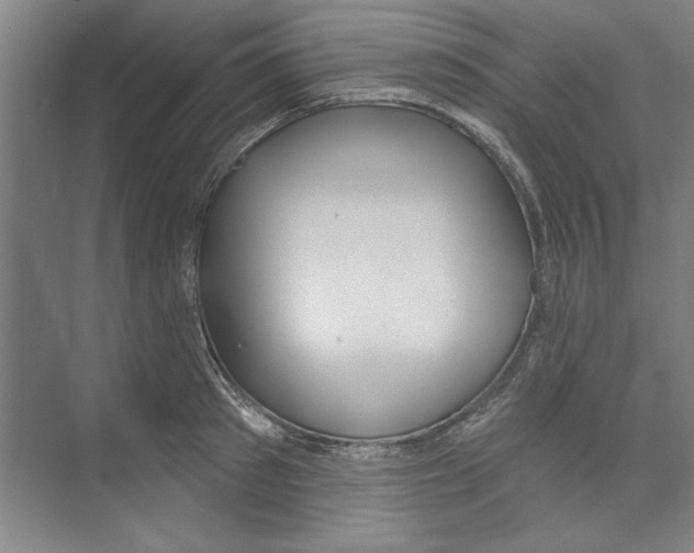 X0000068840897200606021706