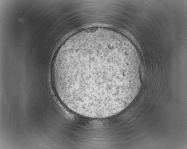 X0000068840898200606021706