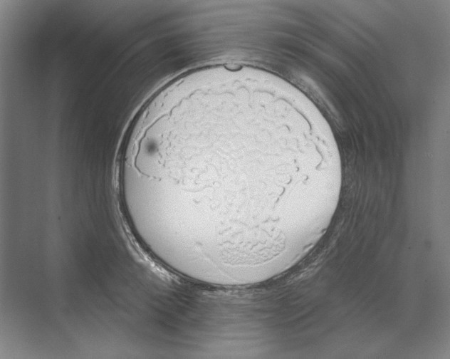 X0000068840900200606021705