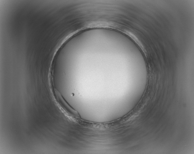 X0000068840901200606021705