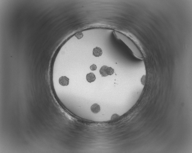 X0000068840902200606021705