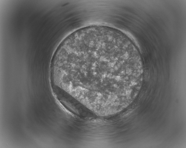 X0000068840903200606021705