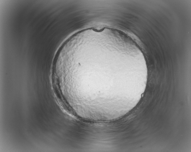 X0000068840904200606021705