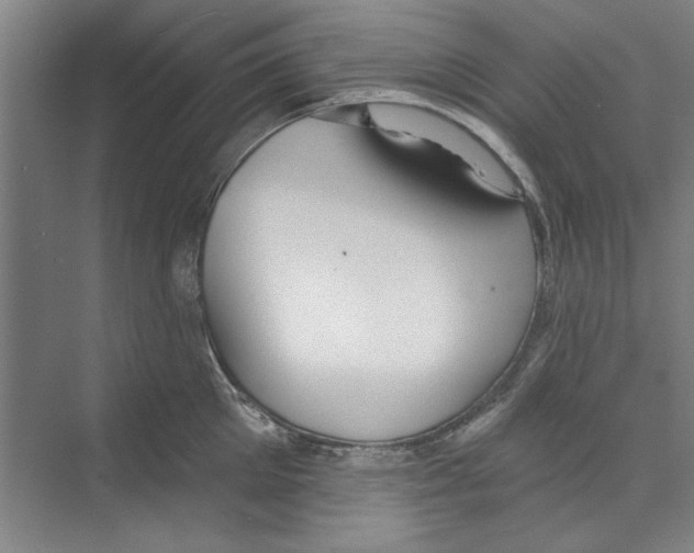 X0000068840905200606021705