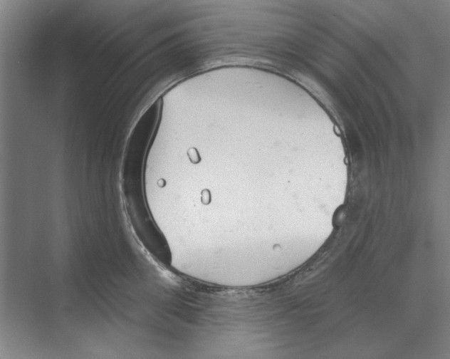 X0000068840906200606021705