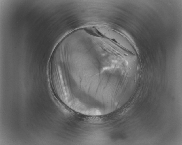 X0000068840907200606021705