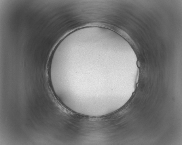 X0000068840908200606021705