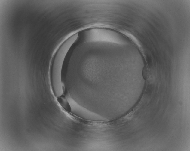 X0000068840910200606021705