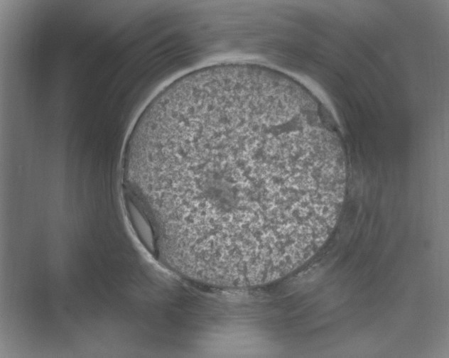 X0000068840911200606021705