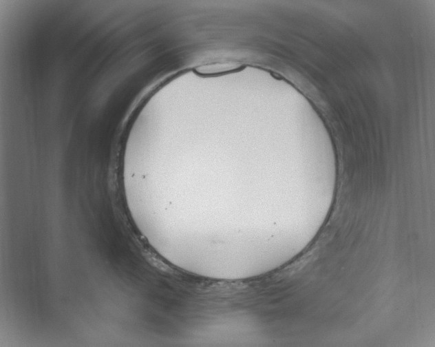 X0000068840912200606021705