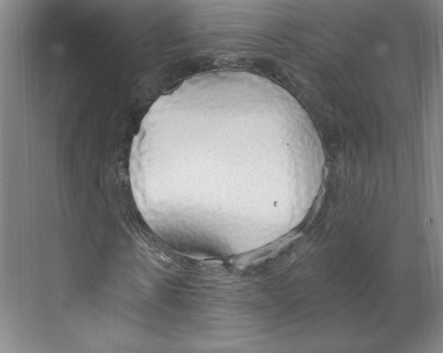 X0000068840914200606021705