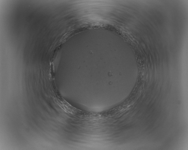 X0000068840916200606021705