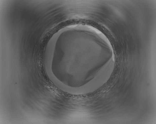 X0000068840919200606021705