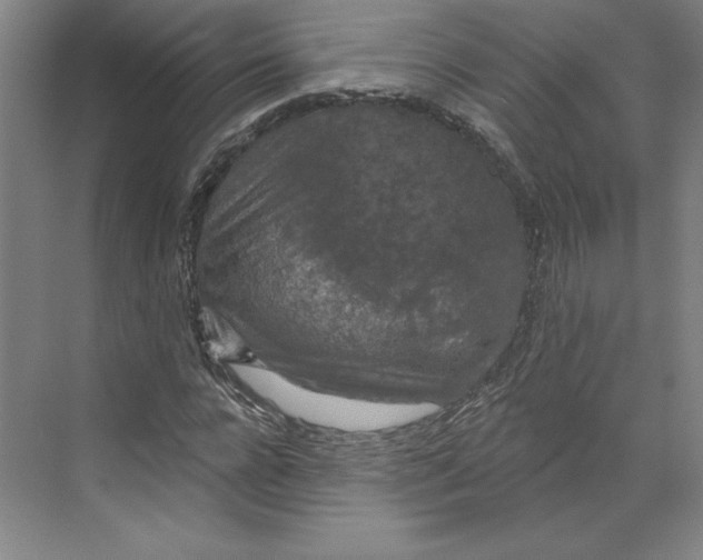 X0000068840920200606021705