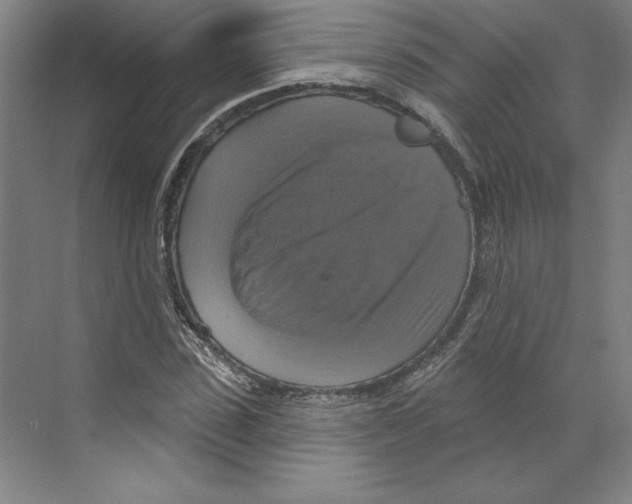 X0000068840923200606021705