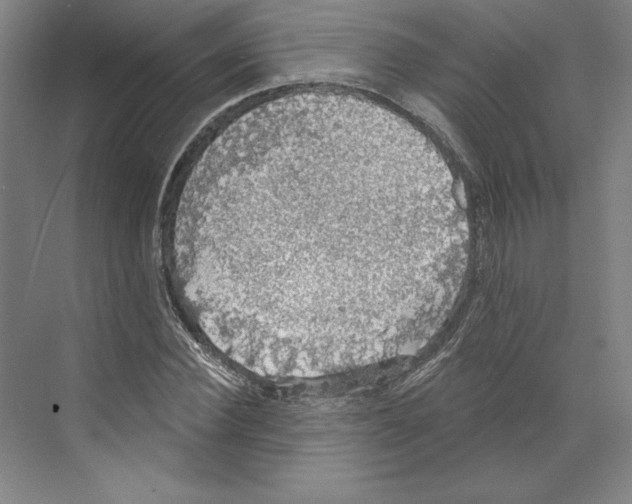 X0000068840924200606021705