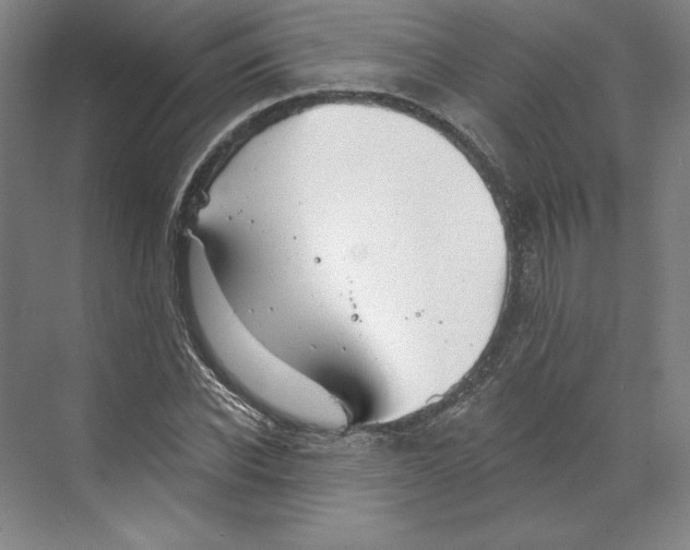 X0000068840926200606021705