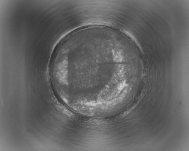 X0000068840928200606021705