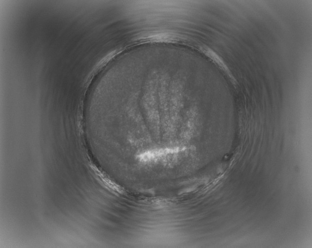 X0000068840930200606021705