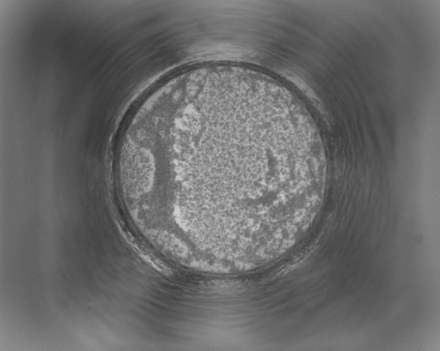 X0000068840933200606021705